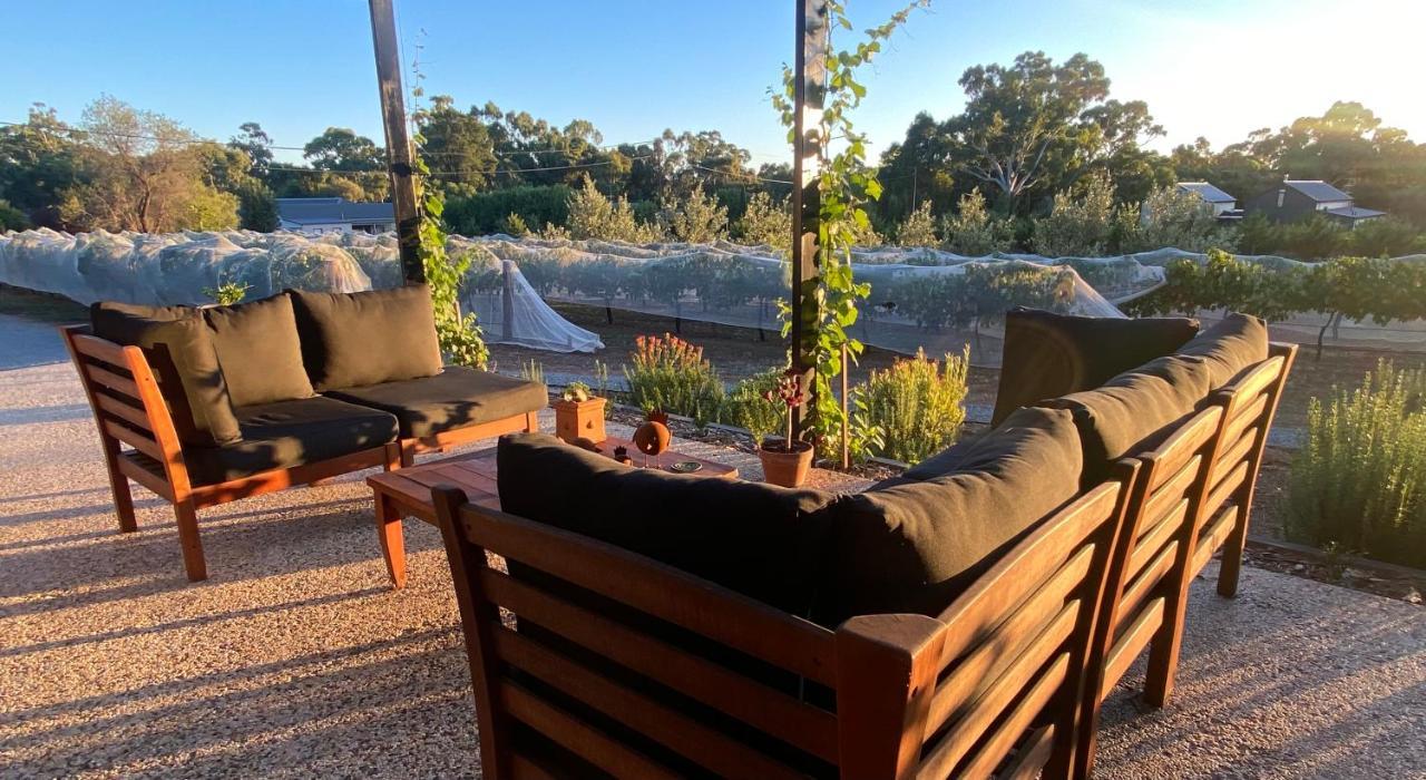 Mintaro Casa Barbera B&B 외부 사진